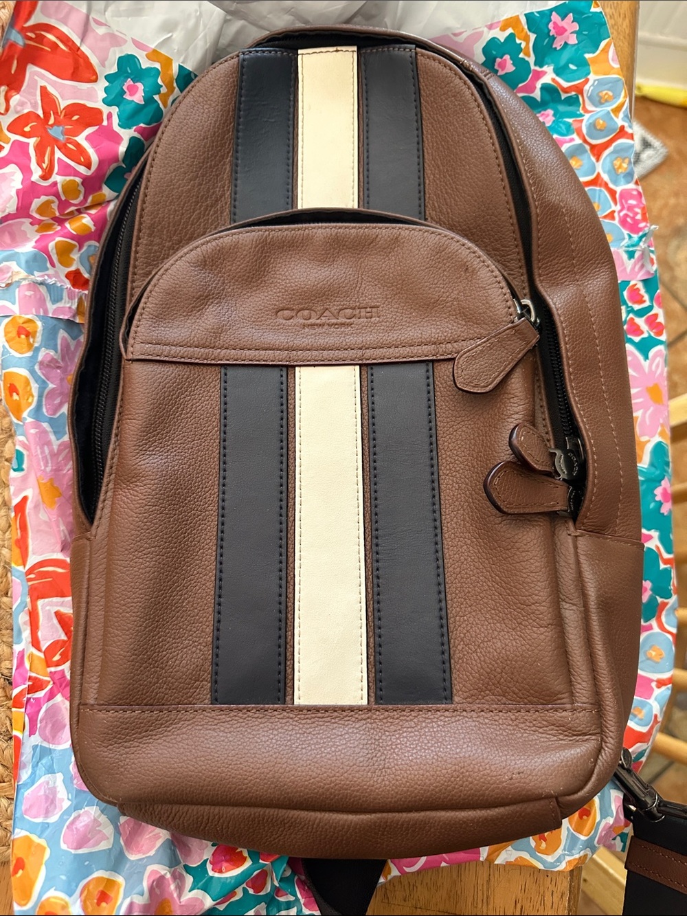 Coach Brown Leather Backpack with Black and Cream Center Stripes